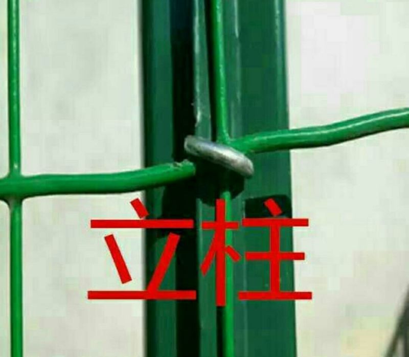 养殖网，围网，公路护拦围网，