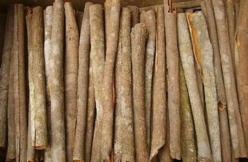 肉桂中药材肉桂调料品肉桂