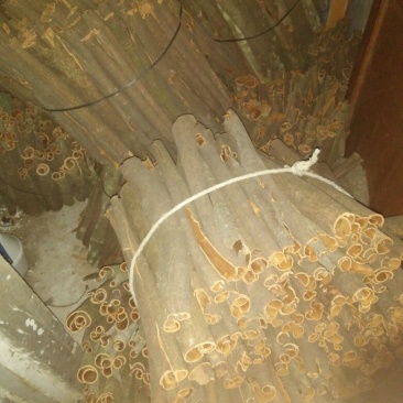 桂皮散装中通