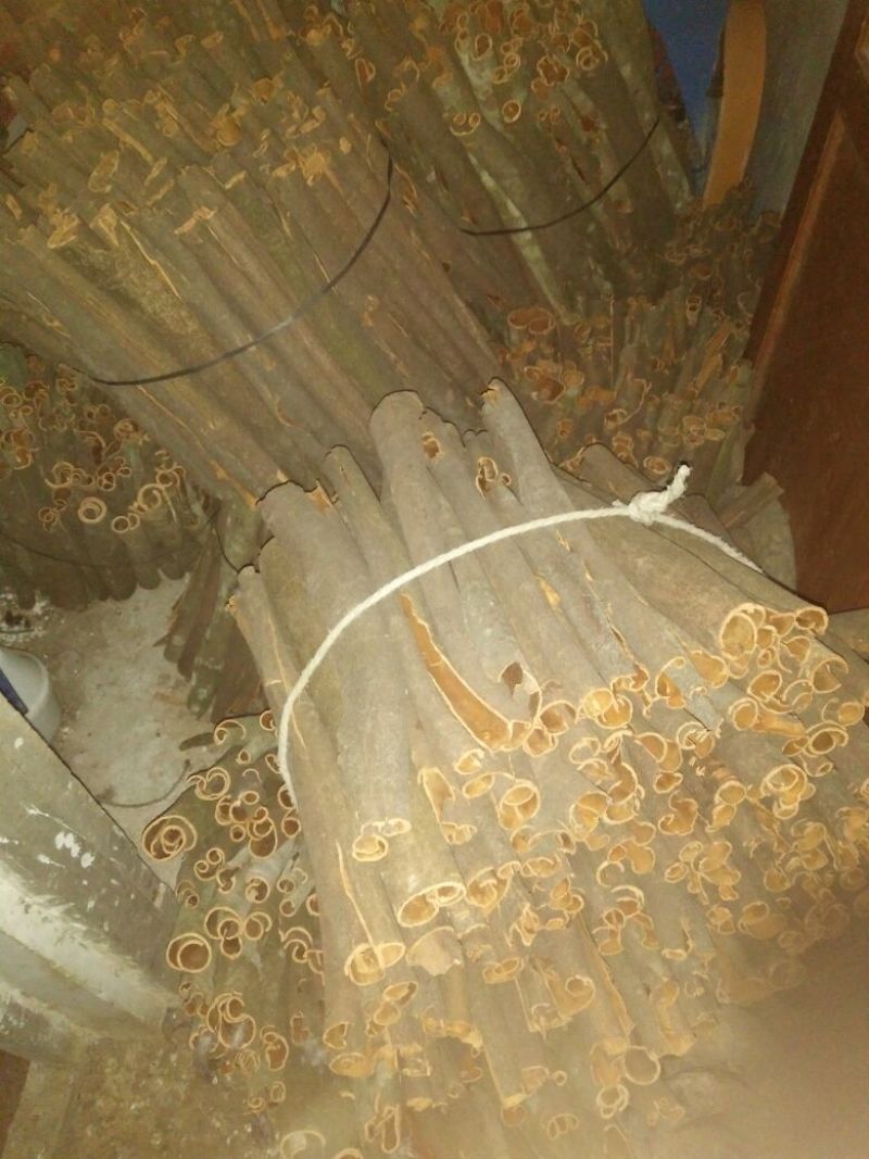 桂皮散装中通
