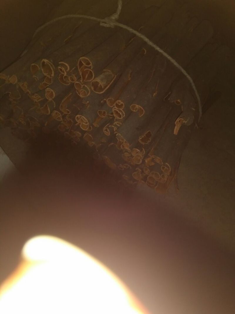 桂皮散装中通