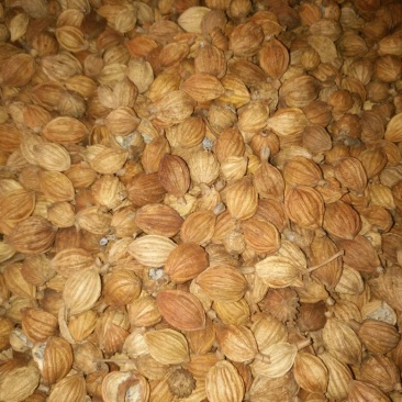 香砂