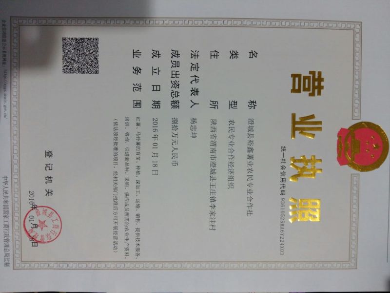 红薯淀粉散装