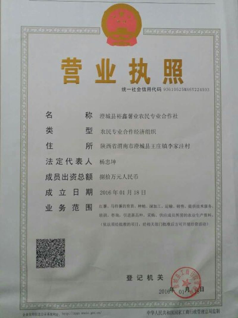 纯红薯粉条，不满意可以退货