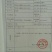 纯红薯粉条，不满意可以退货