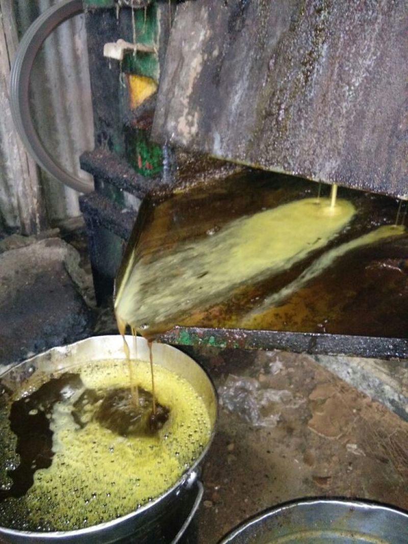 压榨菜籽油一级