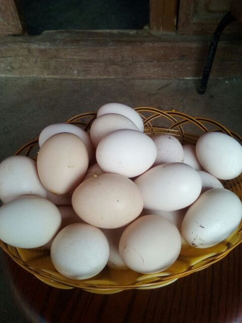 土鸡蛋食用40~50g