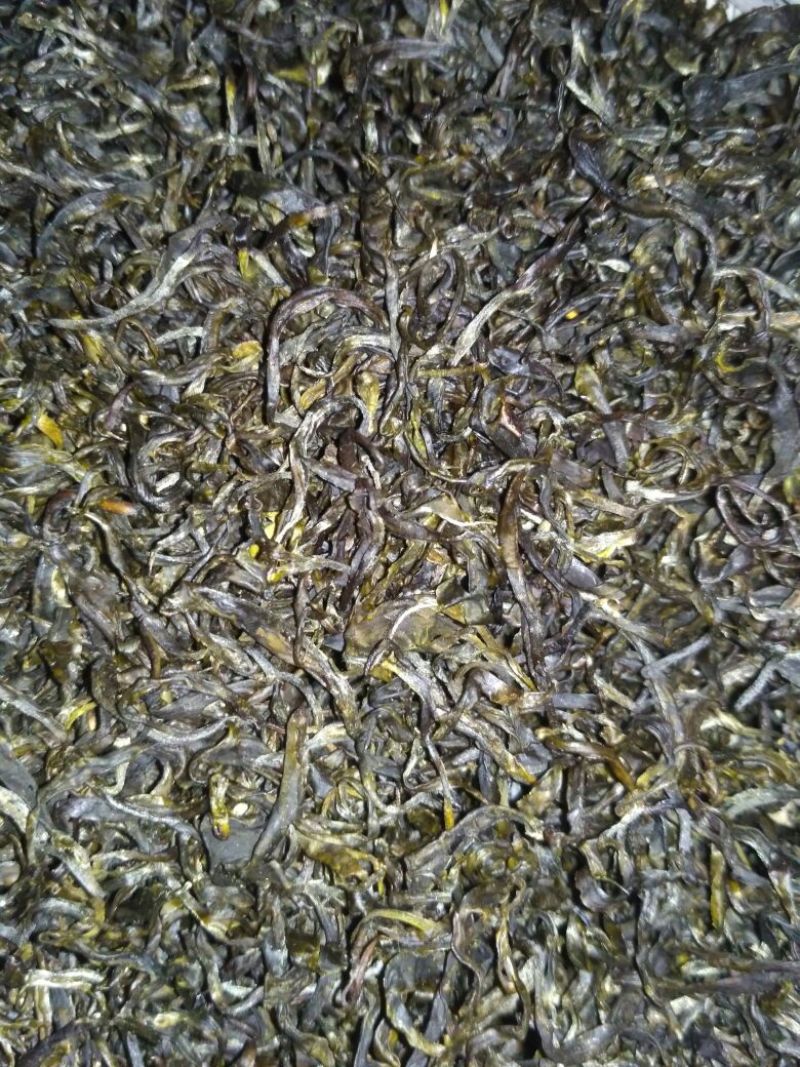 古树茶一级