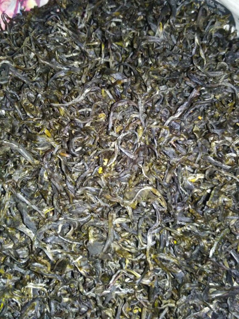 古树茶一级