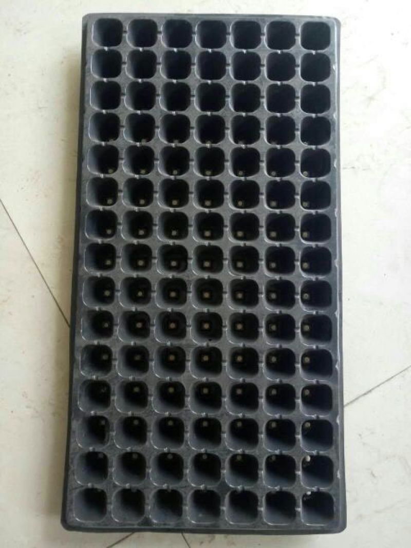 穴盘128孔