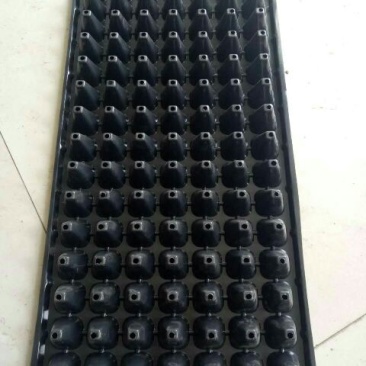 穴盘128孔