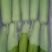 瓠瓜20~30cm6~7cm