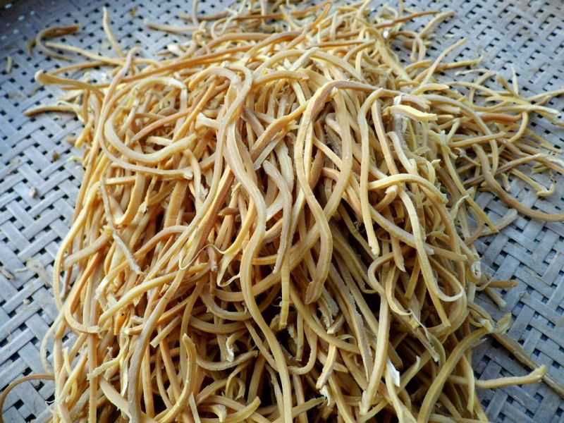 麻竹笋丝竹笋丝