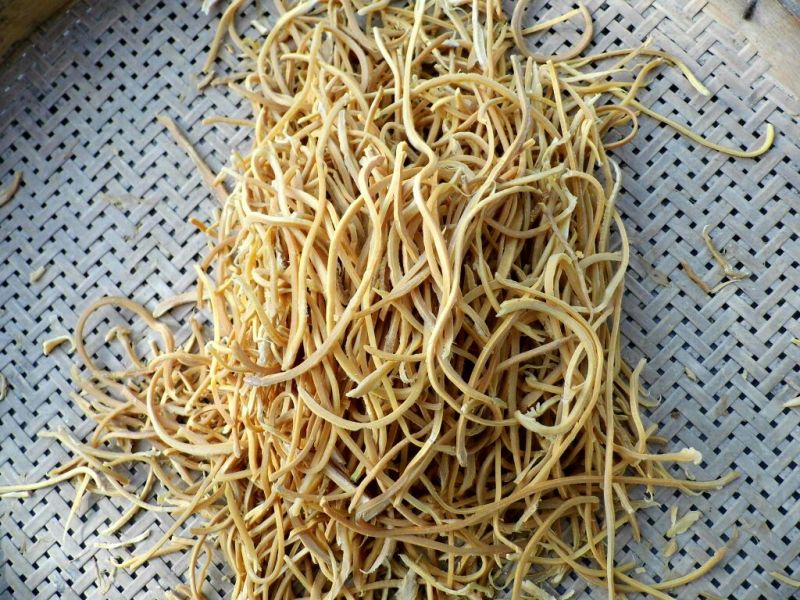 麻竹笋丝竹笋丝