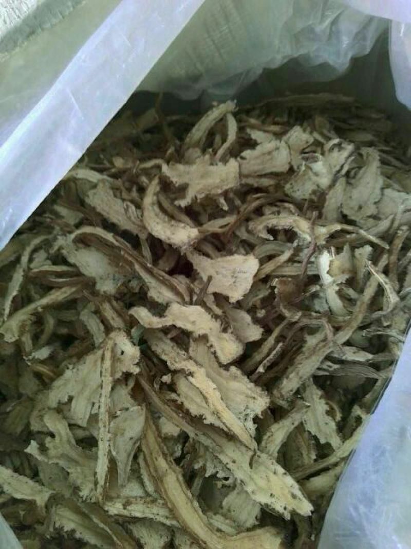 岷县当归全当归片一棵树当归切片当归个岷县当归