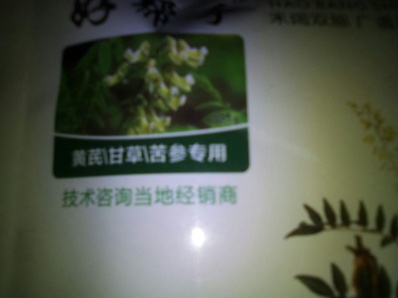 黄芪种子98%以上