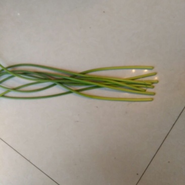 红菜苔20~30厘米