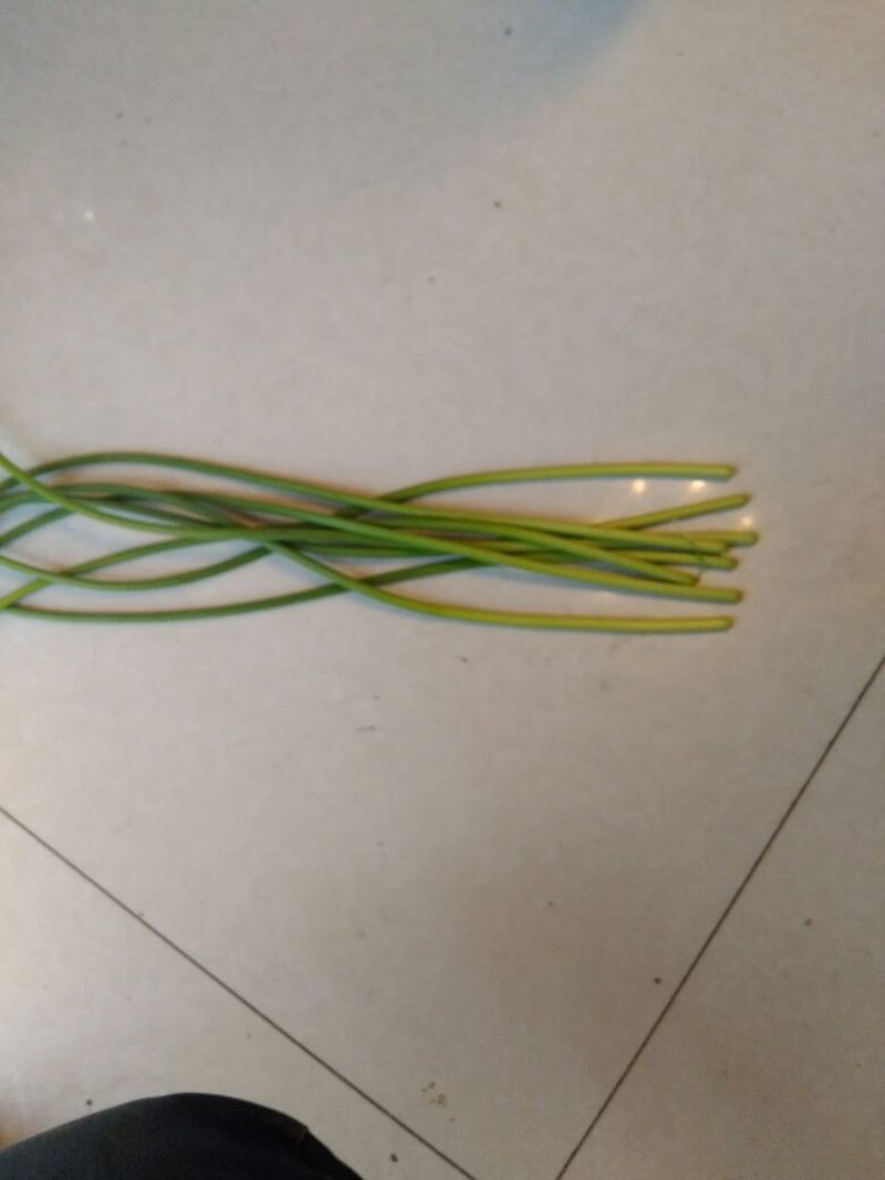 红菜苔20~30厘米