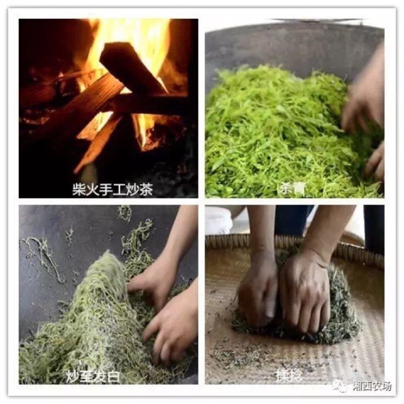 藤茶