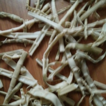 干竹笋9~13cm