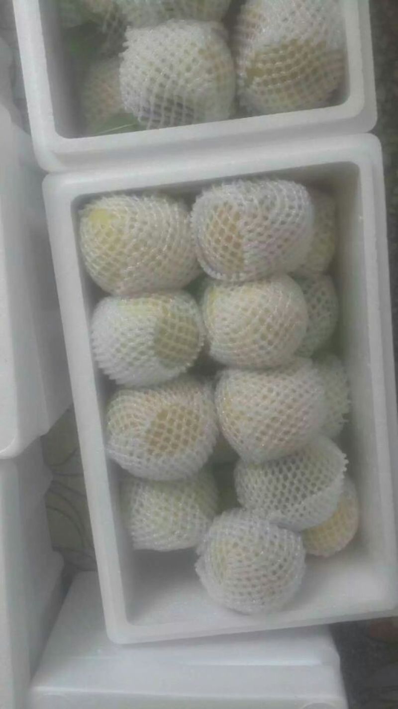 83黄桃2~3两