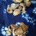 原木香菇3cm以下