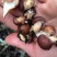 原木香菇3cm以下