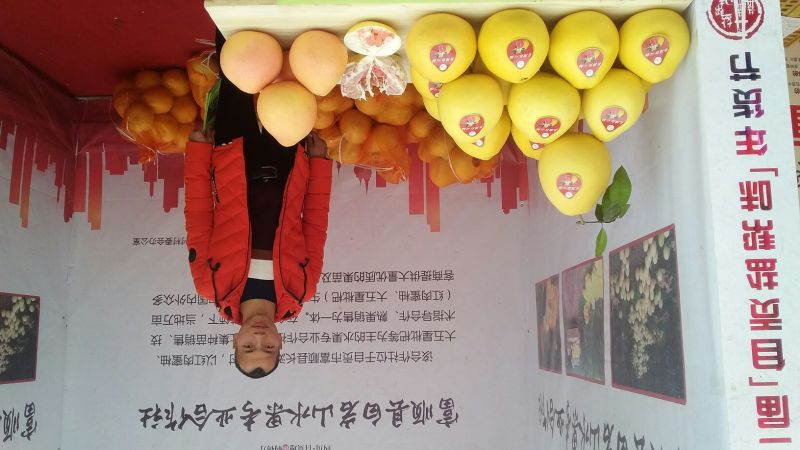 三红蜜柚苗基地直供产地批发品种纯正