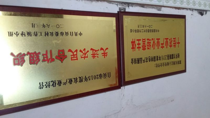 三红蜜柚苗基地直供产地批发品种纯正