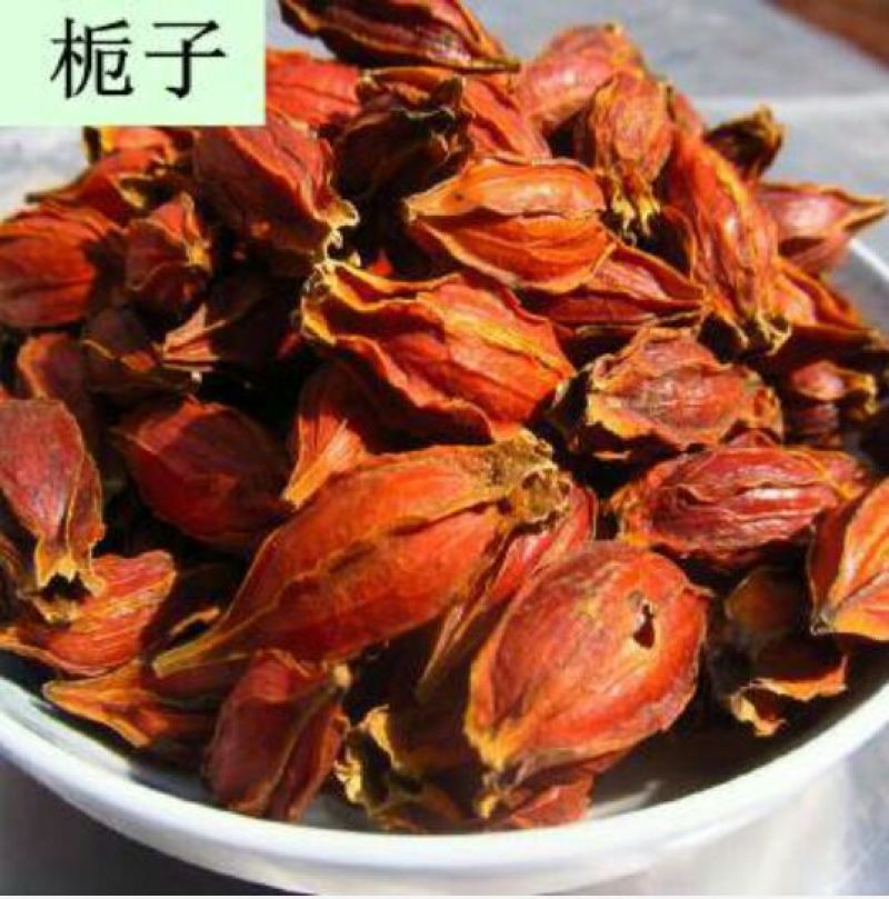 栀子中药材栀子枝子无杂质
