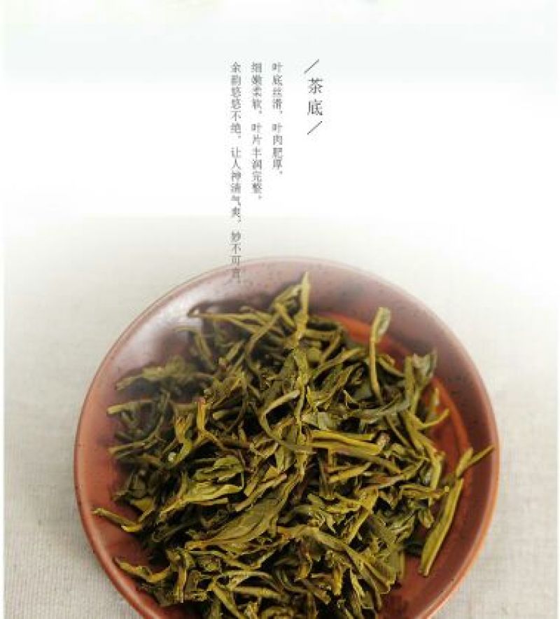 绿茶一级