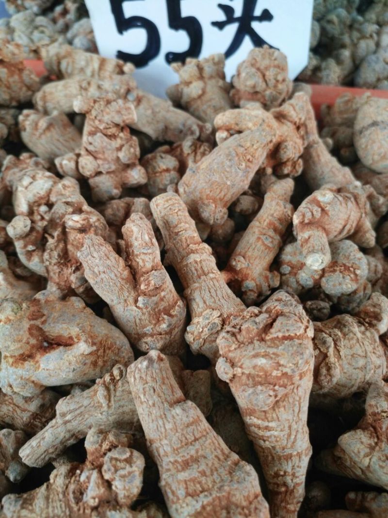 三七精选足40头，文山三七