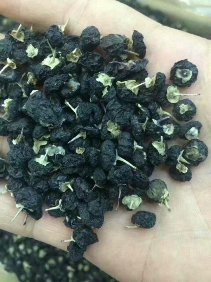 黑枸杞头茬干货