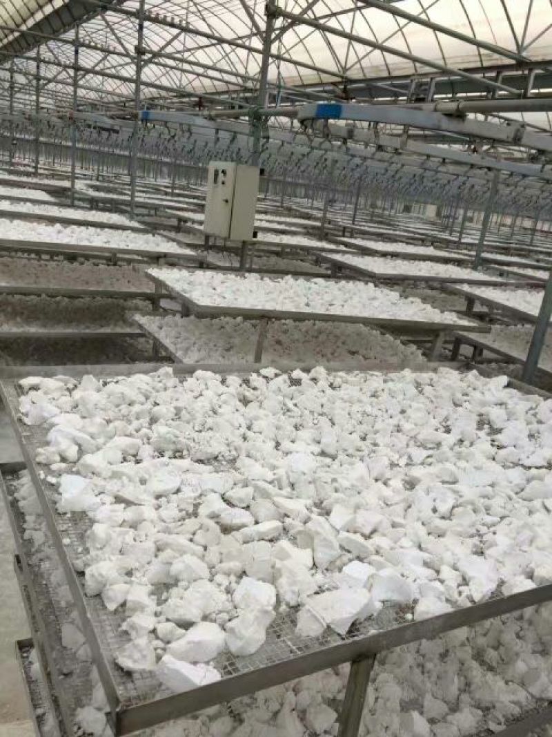 红薯淀粉