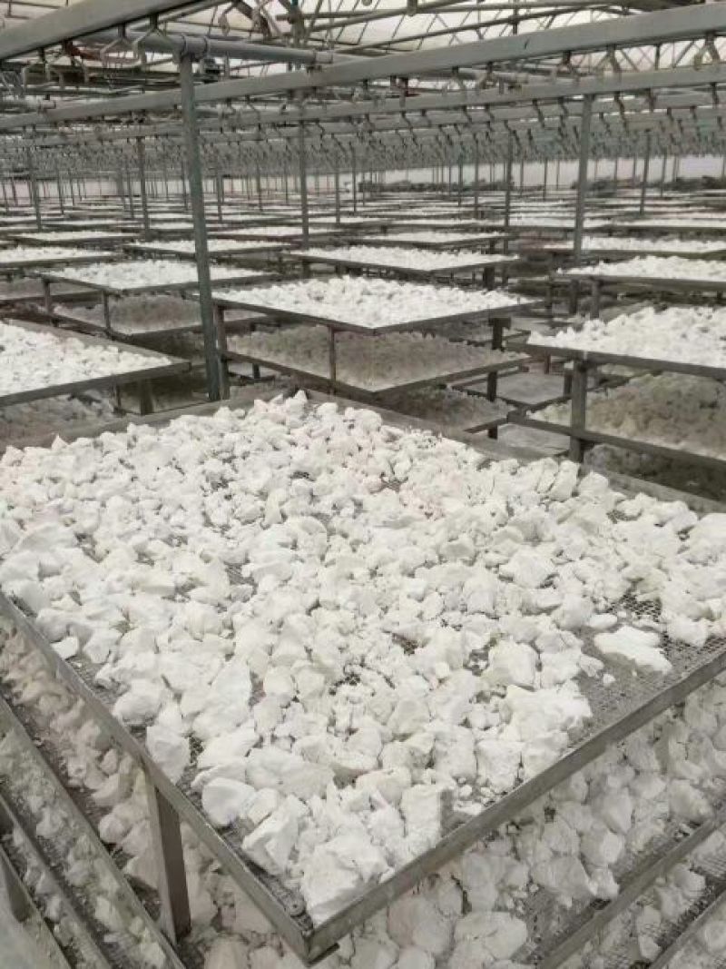 红薯淀粉