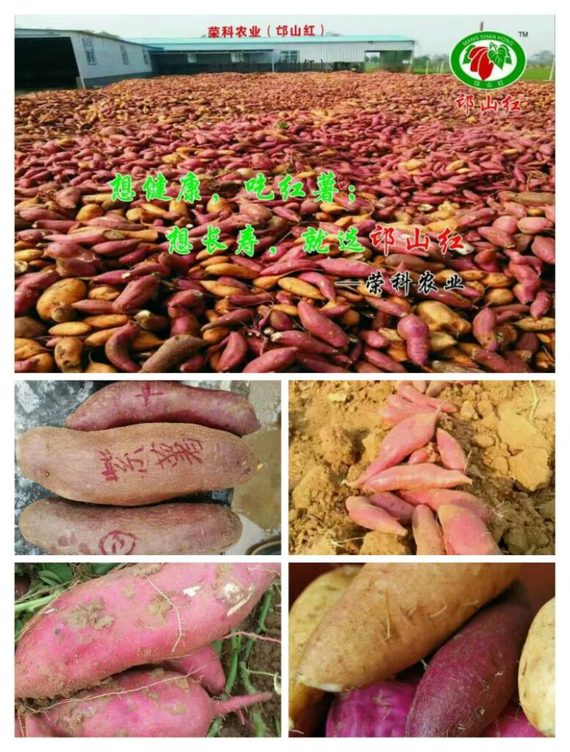 红薯淀粉