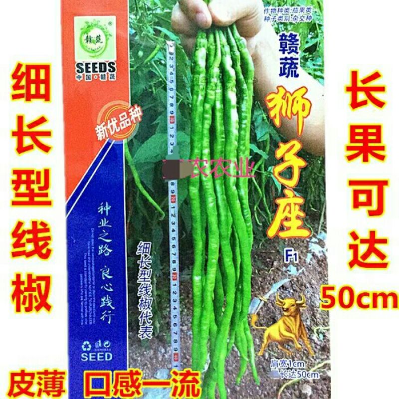 青椒苗