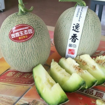 网纹瓜3斤以上长圆形