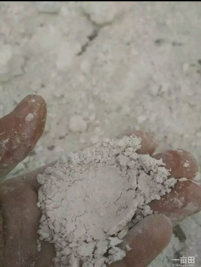红薯淀粉袋装