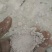 红薯淀粉袋装
