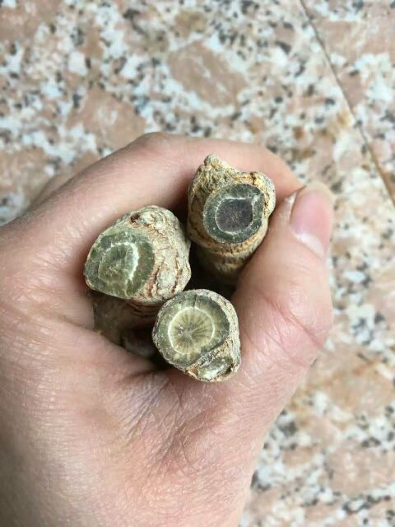 云南文山红三七产地直销选货