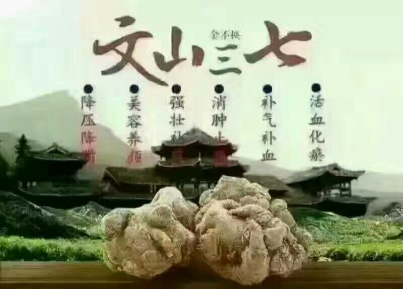 云南文山红三七产地直销选货