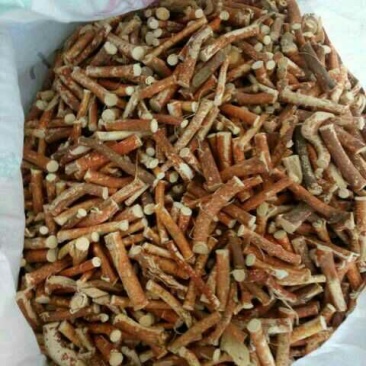 五指毛桃中根纯中根干条节节
