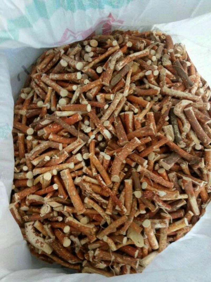 五指毛桃中根纯中根干条节节