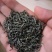 五峰绿茶特级
