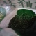五峰绿茶特级