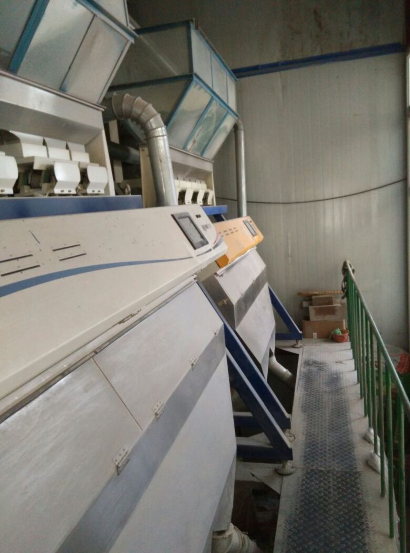 秋田小町大米新米一级