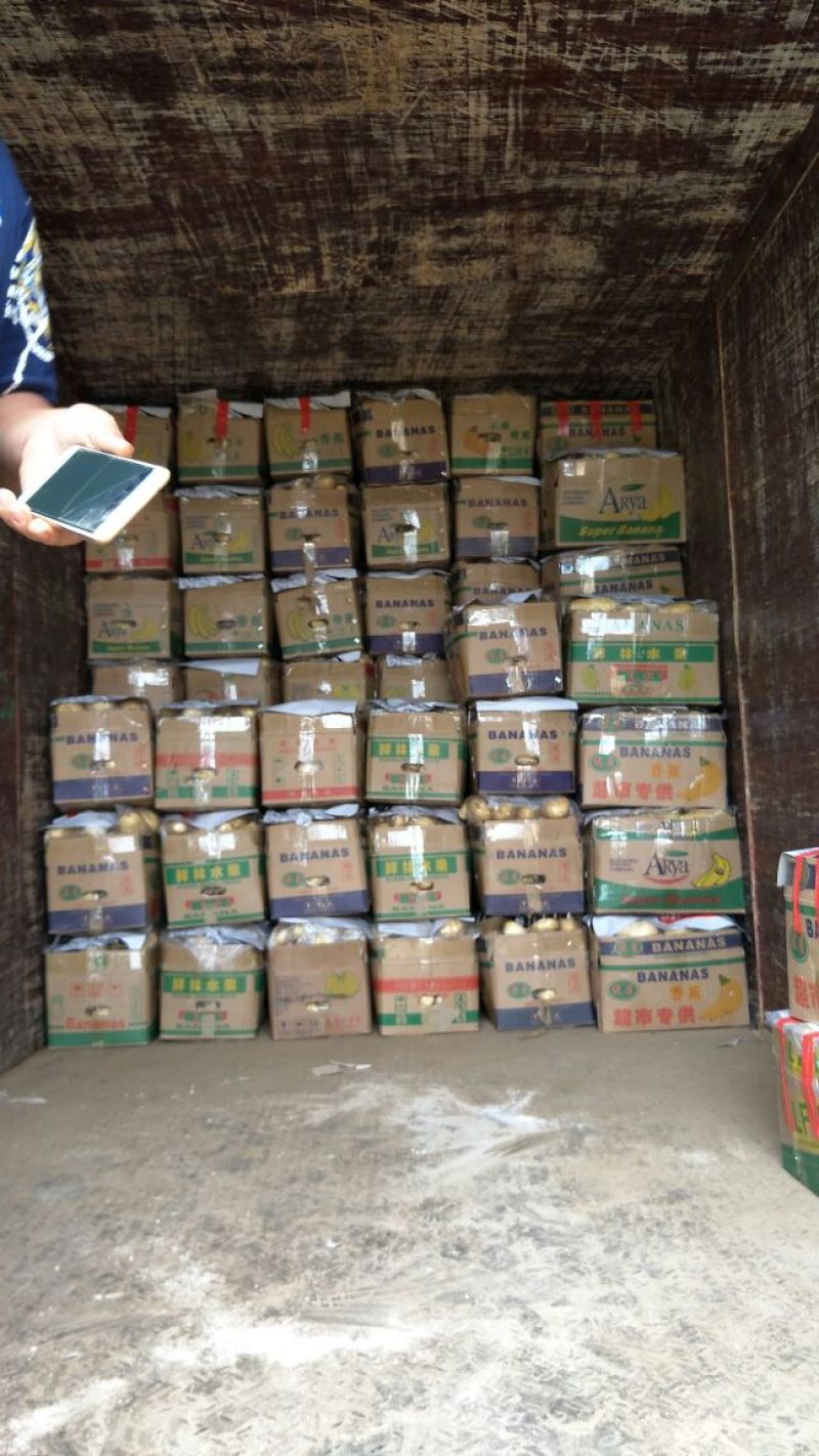 山东荷兰十五货源充足保质保量欢迎全国各地客商
