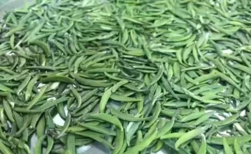 竹叶青茶特级