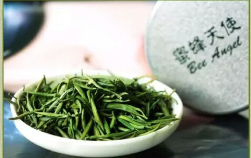 竹叶青茶特级